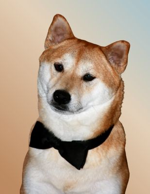 Toyer Strategic Consulting