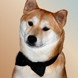 Toyer, Dietrich & Associates - Conner the Tax Dog