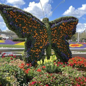 EPCOT - flower butterfly - Amusement Parks Near Me - Lake Buena Vista, Florida EPCOT - flower butterfly - Amusement Parks Near Me - Lake Buena Vista, Florida