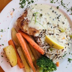 Halibut