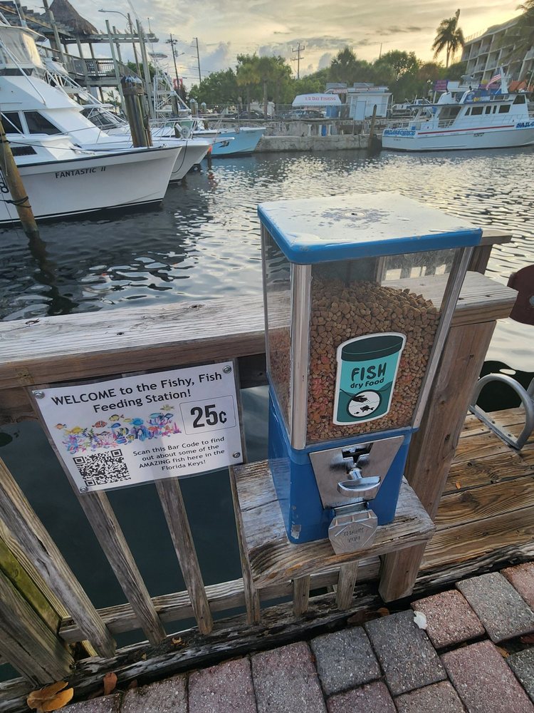 Fishy Fish Feeding Station Image