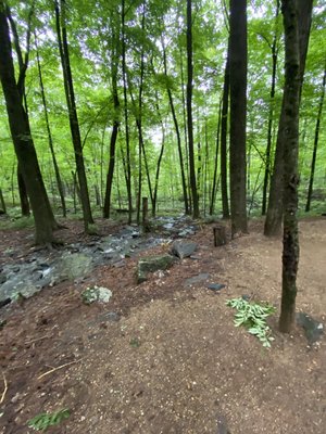 Wells State Park by null