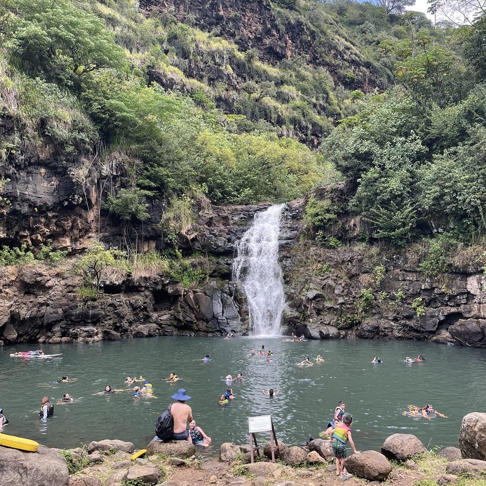 Waimea fall - one of the activities you get to choose from Waimea fall - one of the activities you get to choose from