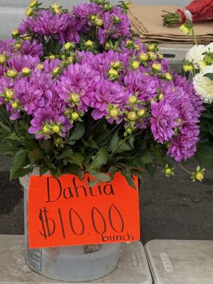 Camarillo Farmers Market by null