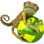 Photo of Khameleon Koatings