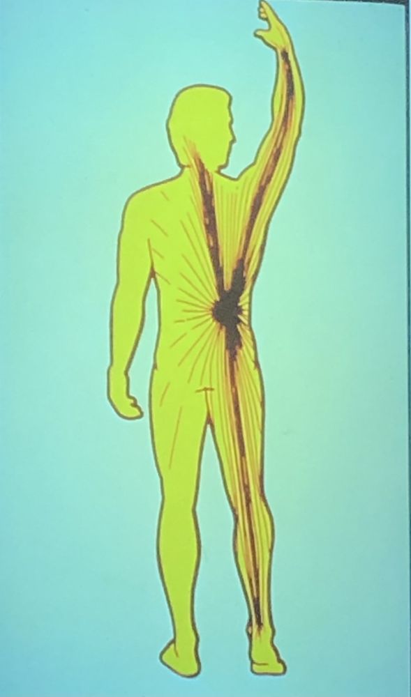 Greenville S.C. Myofascial Release Image