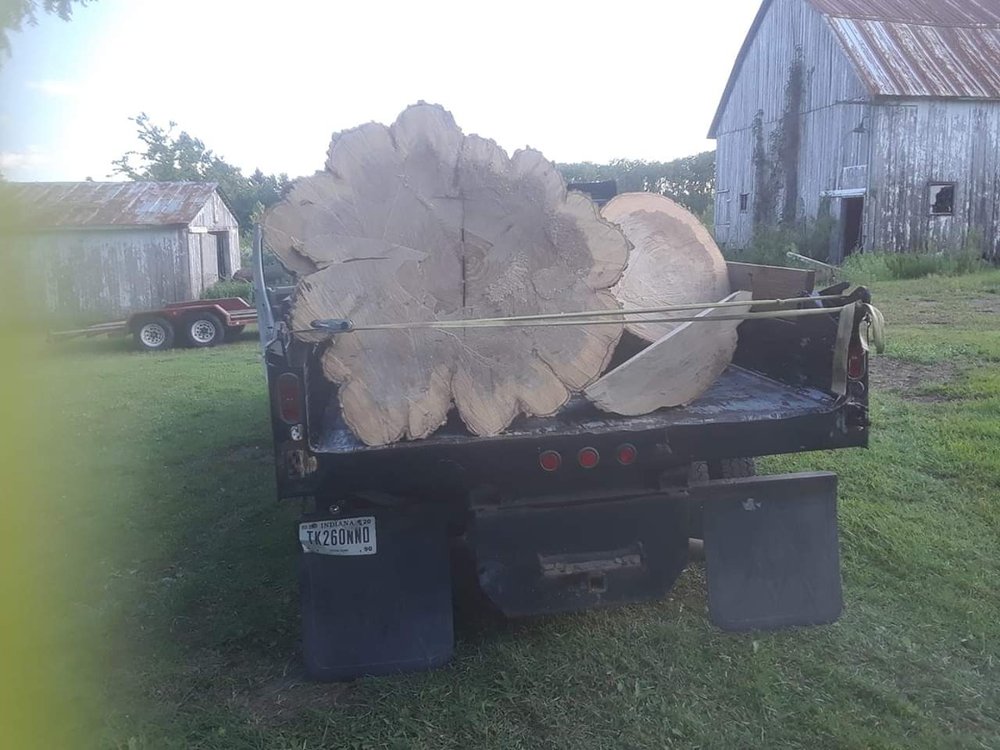 YODER TREE SERVICE 10 Photos Ossian, Indiana Tree Services Yelp