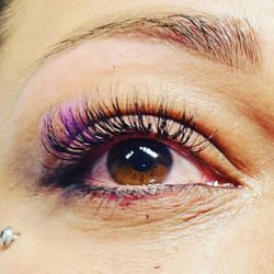 The Lash Bar