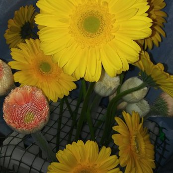 Liz-A-Loons - Balloon Services Near Me Liz-A-Loons - Balloon Services Near Me