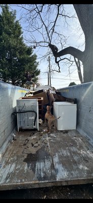 Master Moo-Vers LLC photo 4