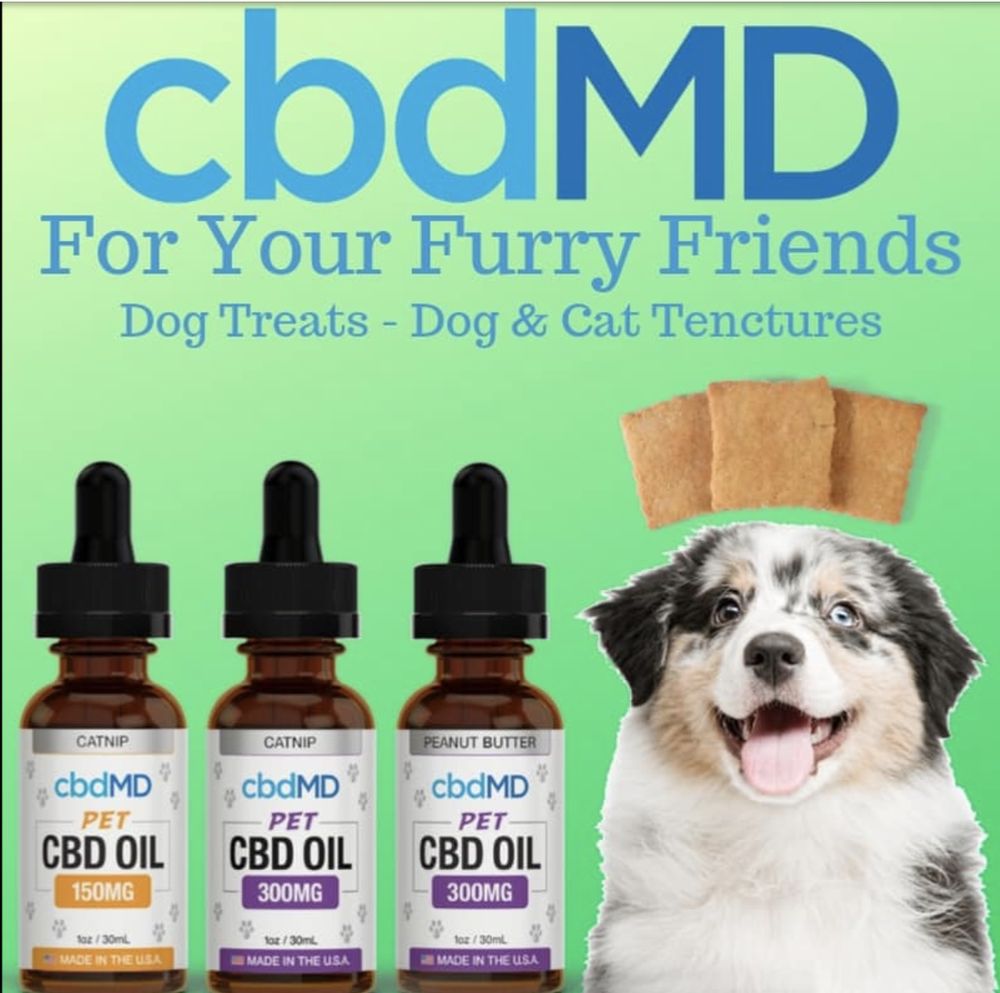 AMS MEDICAL SUPPLY & CBD 34 Photos 8009 N Hwy 27, Rock Spring