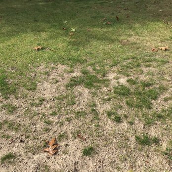 Tip-Top Gravel Co - This is the junk they delivered. Now I'm supposed to put grass seed down? - Excavation Services Near Me - Ada, Michigan Tip-Top Gravel Co - This is the junk they delivered. Now I'm supposed to put grass seed down? - Excavation Services Near Me - Ada, Michigan