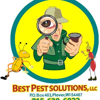 Best Pest Solutions - Solutions Not Bandaids - Pest Control Near Me Best Pest Solutions - Solutions Not Bandaids - Pest Control Near Me