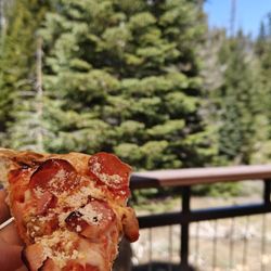 Wuksachi Pizza Deck - Pizza in the park!