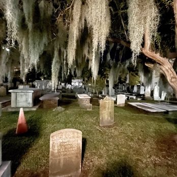 Bulldog Tours - Historical Tours Near Me - Charleston, South Carolina Bulldog Tours - Historical Tours Near Me - Charleston, South Carolina