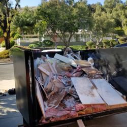 Wasted Junk Removal