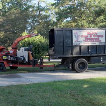 Walt's Tree & Stump Removal - Tree Services Near Me - Yorktown, Virginia Walt's Tree & Stump Removal - Tree Services Near Me - Yorktown, Virginia