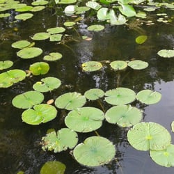 Goff Lake Campgrounds