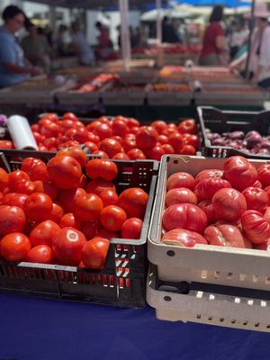Campbell Farmer's Market by null