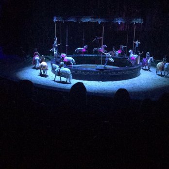 Cavalia - Performing Arts Near Me - Scottsdale, Arizona