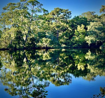 Charles Towne Landing State Historic Site by null