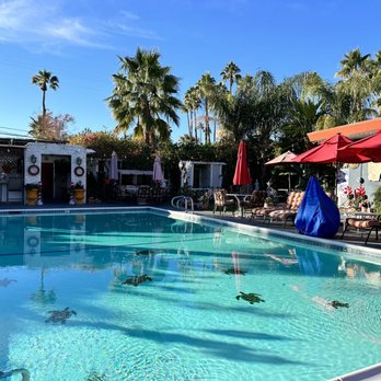 Casa Larrea Inn - Central pool area - Hotels Near Me - Palm Desert, California Casa Larrea Inn - Central pool area - Hotels Near Me - Palm Desert, California