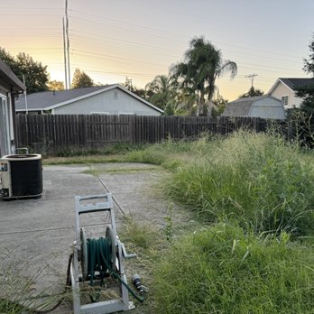 ZR Pro Landscaping - Before - Lawn Services Near Me ZR Pro Landscaping - Before - Lawn Services Near Me