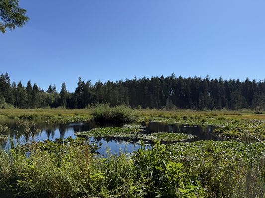 Cycle City Tours And Bike Rentals by null