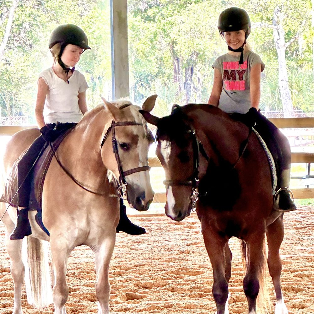 Collette Zimmer Dressage - equestrian in Odessa, FL
