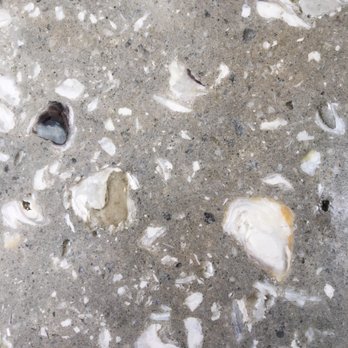 Shuck Station - Bar counter made with real oyster shells. - Seafood Near Me - Newcastle, Maine Shuck Station - Bar counter made with real oyster shells. - Seafood Near Me - Newcastle, Maine