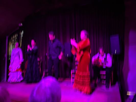 PALAU DALMASES by null