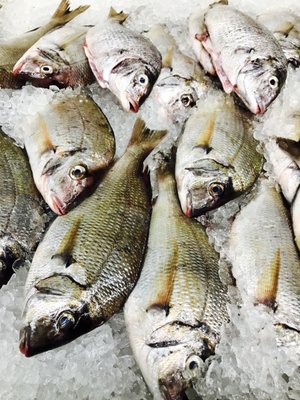 Angela Fish Market, 896 Utica Ave, Brooklyn, NY 11203, US - MapQuest