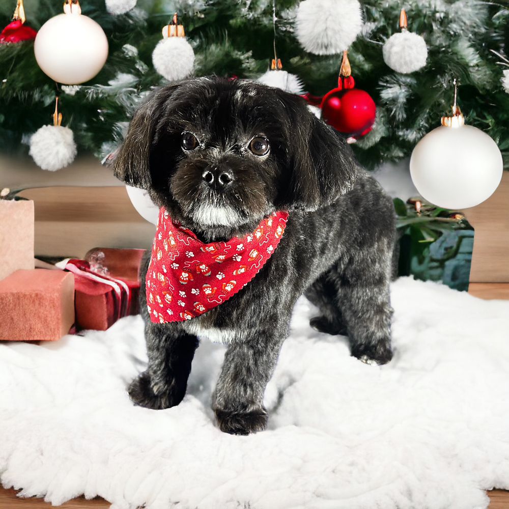 GROOMING PARLOR Updated September 2024 13 Photos