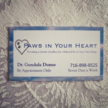 Paws in Your Heart - Veterinarians Near Me Paws in Your Heart - Veterinarians Near Me