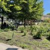 Paseo Prairie Garden gift card