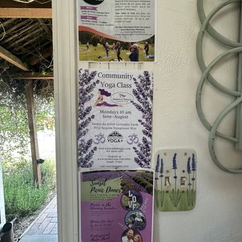 Jardin Du Soleil Lavender - Yoga and music on site.  Community gatherings - Venues & Event Spaces Near Me - Sequim, Washington