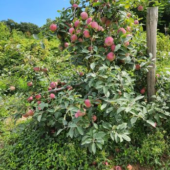 HILLVIEW FARMS - Updated January 2026 - 100 Photos & 66 Reviews - 223