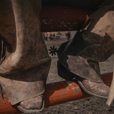 Boot Barn by null