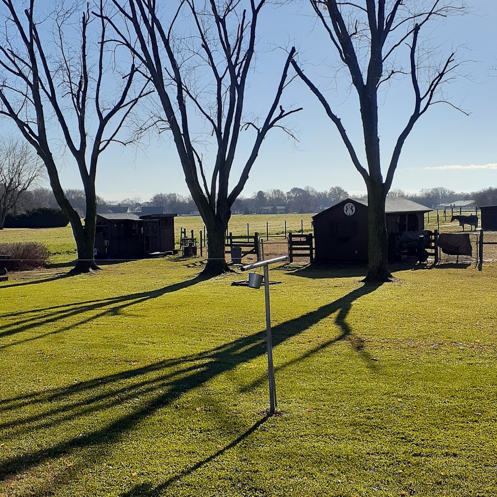 Greg Smith Tree Service - Tree Services Near Me