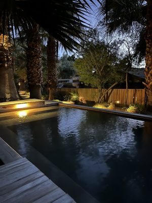 Two Bunch Palms by null