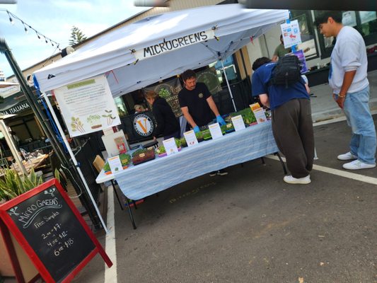 State Street Farmers Market by null