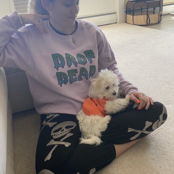 Bark Busters Home Dog Training - Pet Training Near Me - Brooklyn, New York Bark Busters Home Dog Training - Pet Training Near Me - Brooklyn, New York