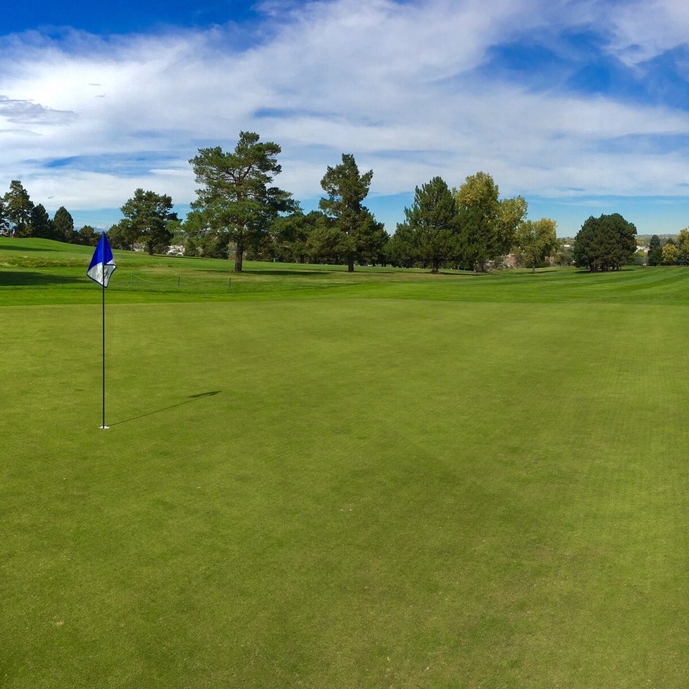Wilis Case Golf Course - Green on #8 - Golf Near Me - Denver, Colorado Wilis Case Golf Course - Green on #8 - Golf Near Me - Denver, Colorado