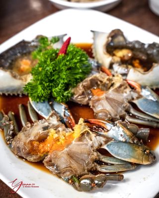 Finch JungSooNae by null