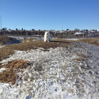 Rotary Park - Miki hanging out at Rotary Park - Parks Near Me - Calgary, Alberta Rotary Park - Miki hanging out at Rotary Park - Parks Near Me - Calgary, Alberta