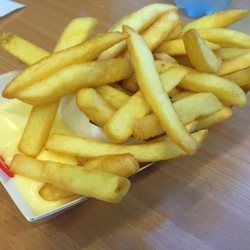Febo