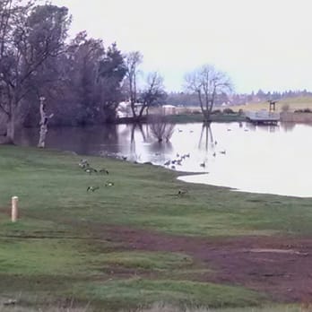 Bidwell Park - Ducks on the pond - Parks Near Me - Chico, California Bidwell Park - Ducks on the pond - Parks Near Me - Chico, California