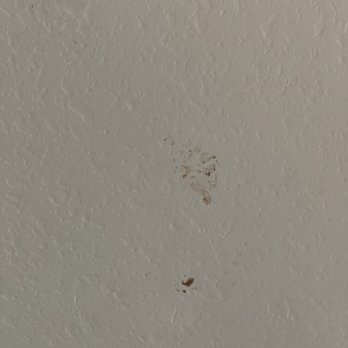 Casiola Orlando - Filth on wall - Resorts Near Me - Orlando, Florida Casiola Orlando - Filth on wall - Resorts Near Me - Orlando, Florida