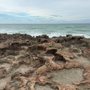 Photo of Ross Witham Beach