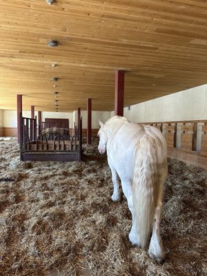 Château Pontet-Canet by null